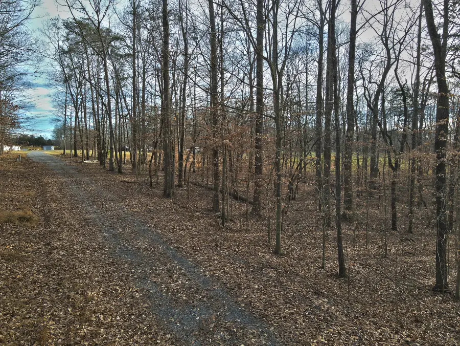30 Piper Road, Russell Springs, KY 42642 - #3
