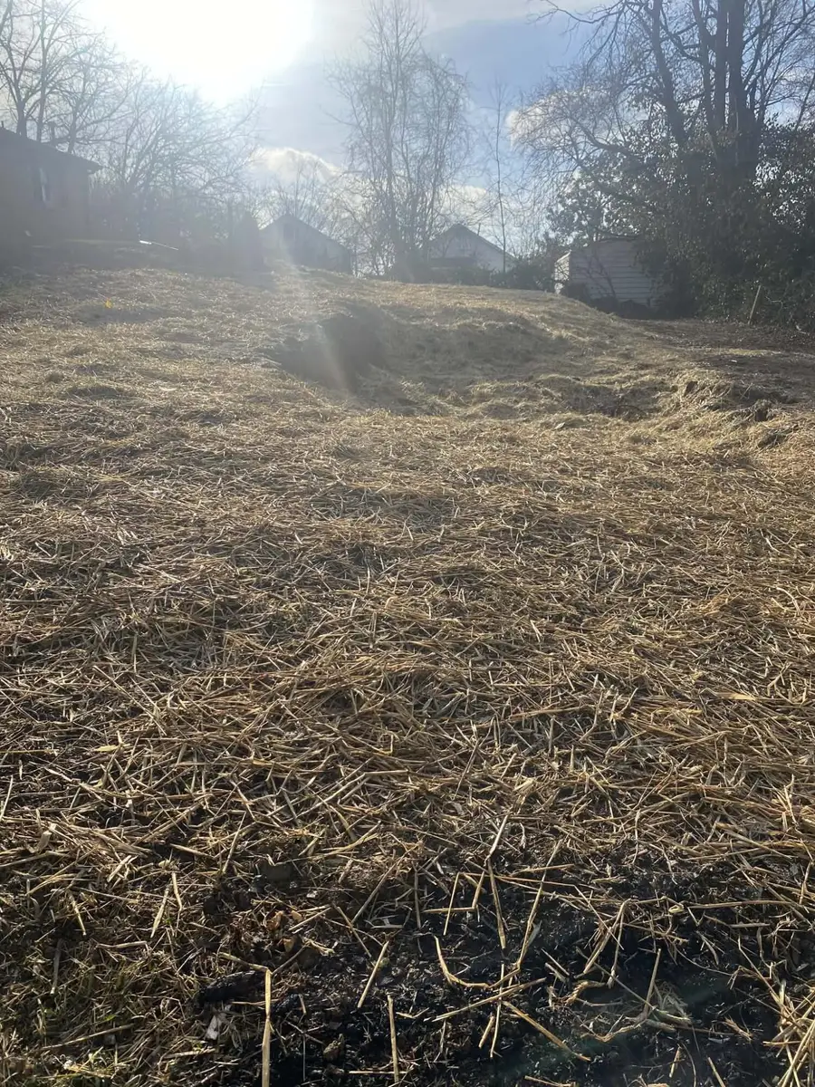 615 Westover Avenue, Richmond, KY 40475 - #3