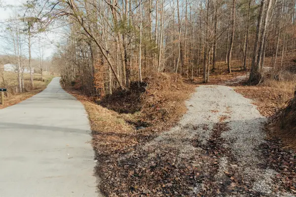0 tbd Whites Branch Road, Wellington, KY 40387