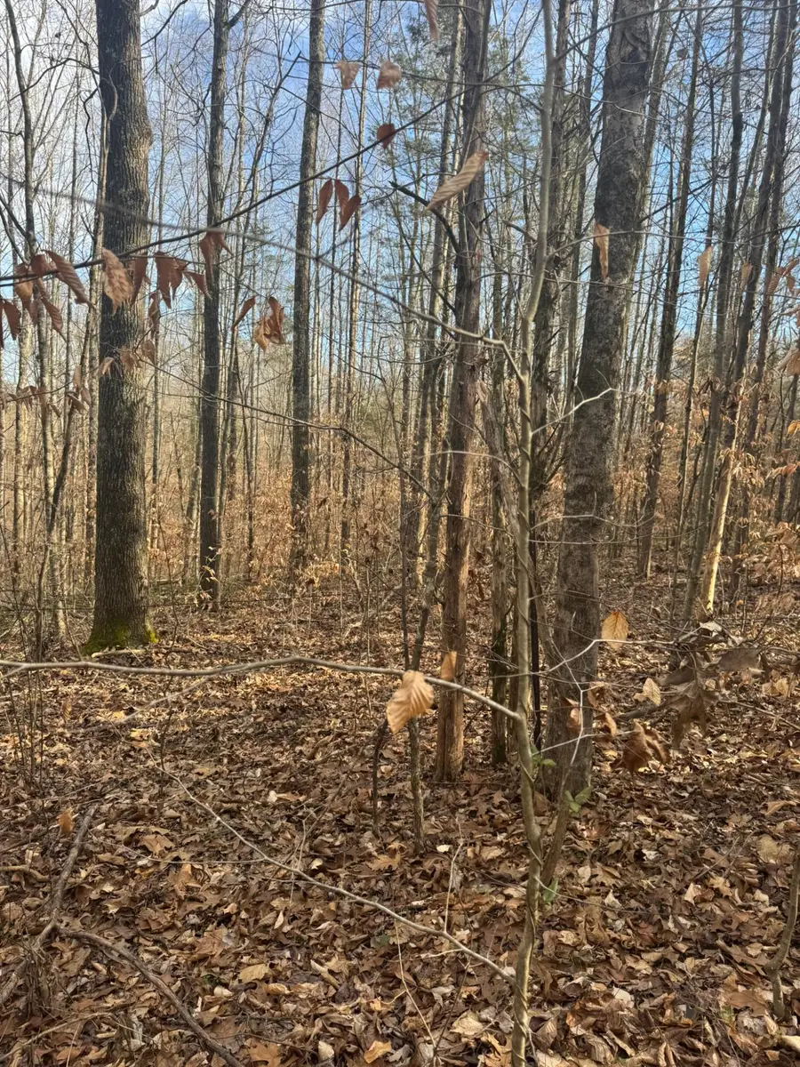 1064 Frontage Road, Russell Springs, KY 42642 - #2