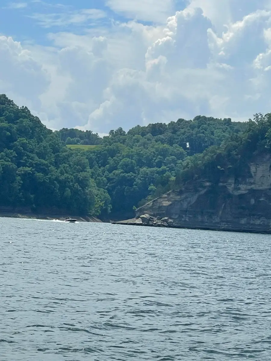 Tract 4 Hwy 196, Nancy, KY 42544 - #2