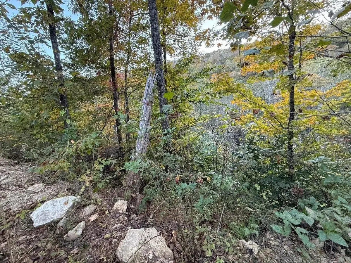 30  Highway 89, Livingston, KY 40445 - #1