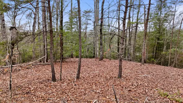 235 Eureka Road, Zoe, KY 41397
