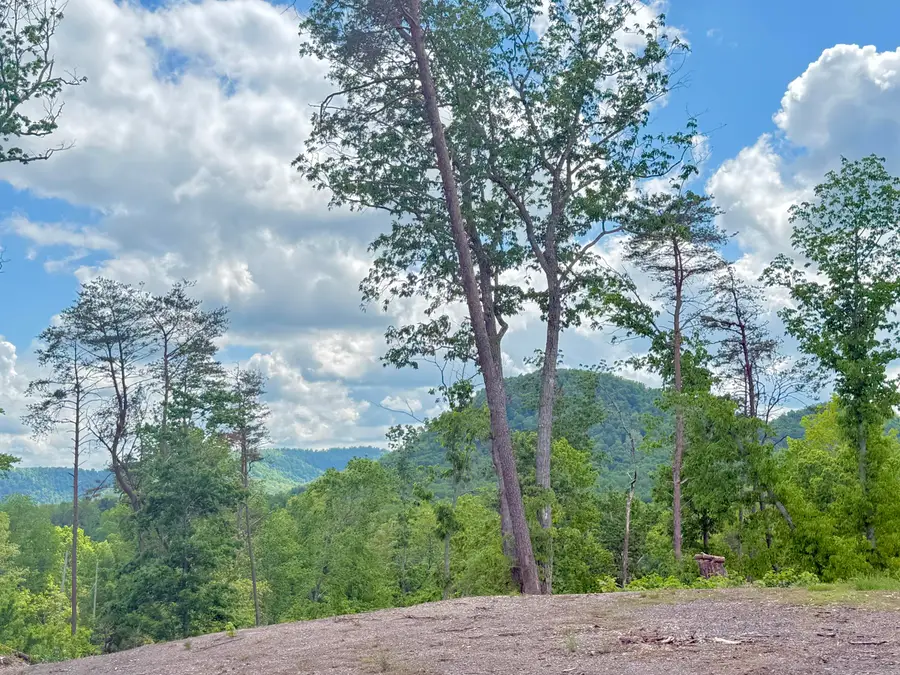 Lot 1 Woodland Estates, Irvine, KY 40336 - #3