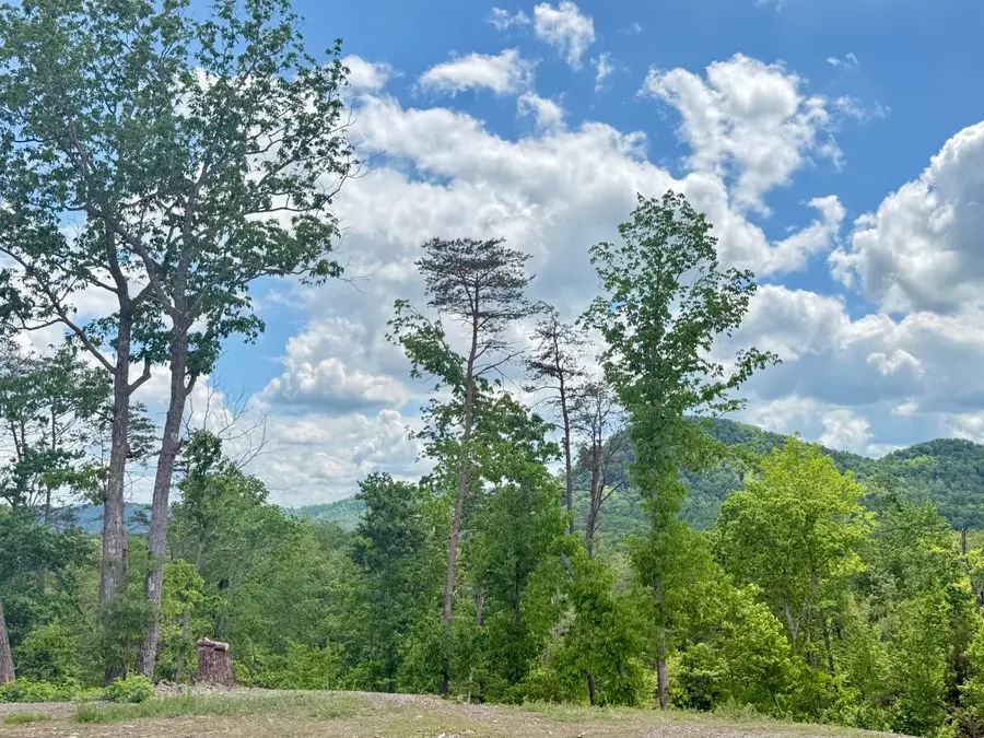 Lot 2 Woodland Estates, Irvine, KY 40336 - #3