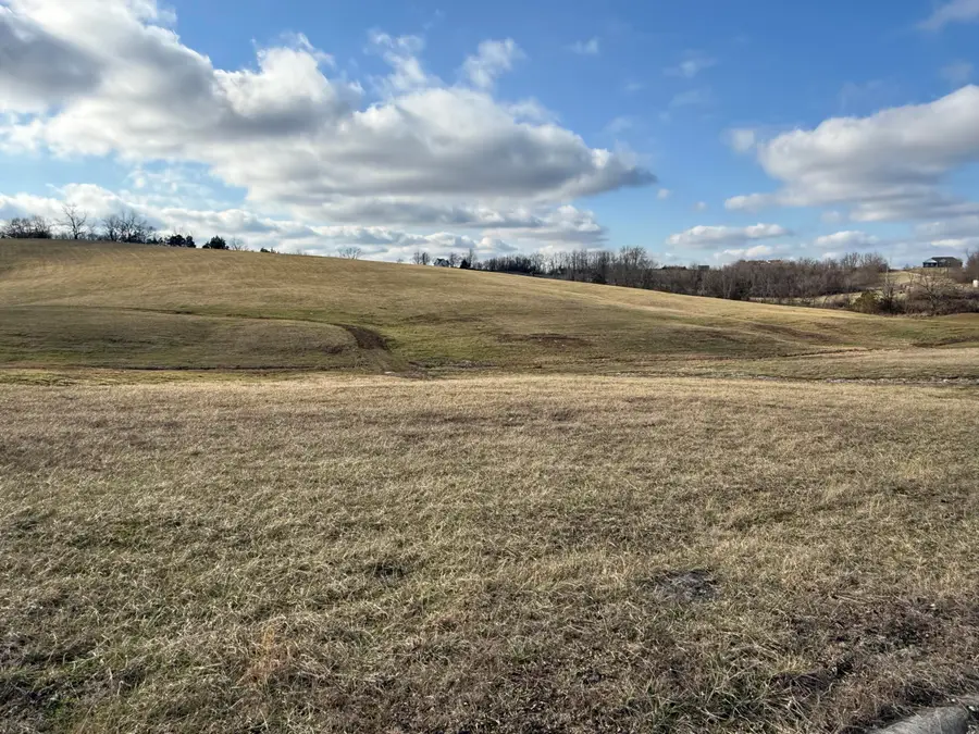 Lot 178 Thorntree Lane, Lawrenceburg, KY 40342 - #3