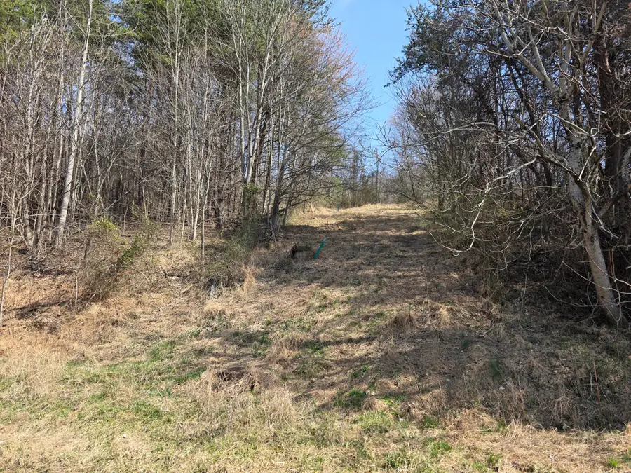 9999  3041 (corbin Bypass) Highway, Corbin, KY 40701 - #3