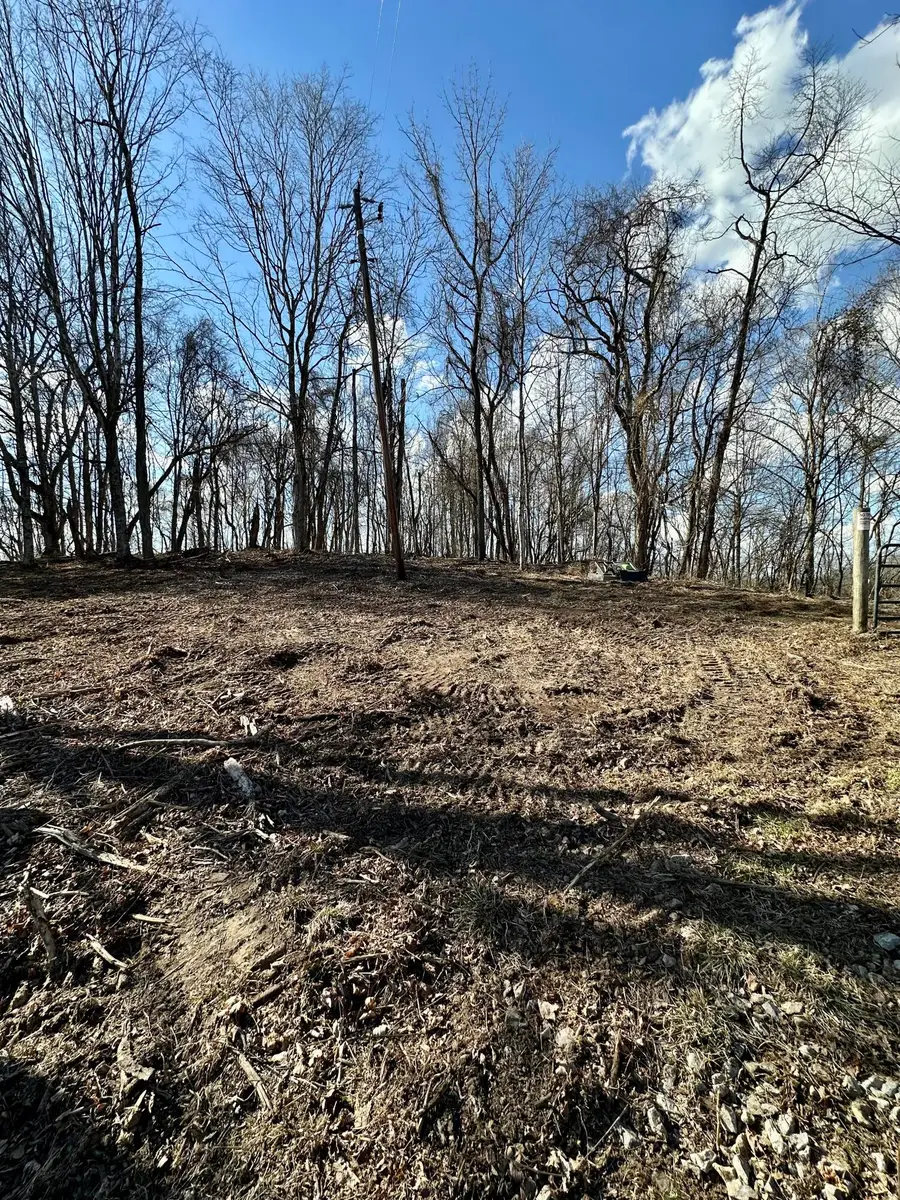 7 Malone Ridge Road #7, Albany, KY 42602 - #2