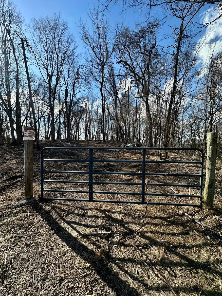 7 Malone Ridge Road #7, Albany, KY 42602 - #3