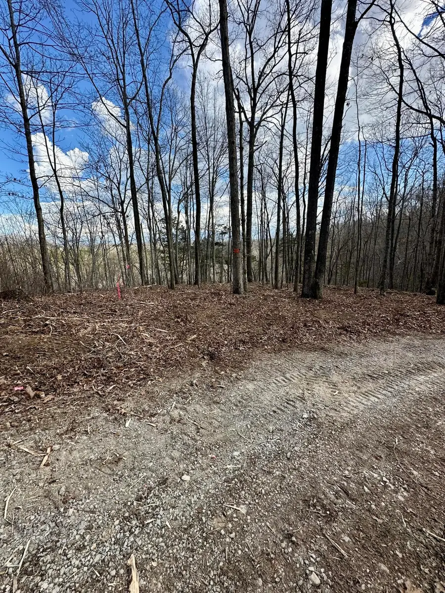 16 Malone Ridge Road #16, Albany, KY 42602 - #2