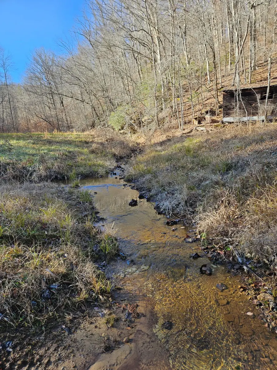 0 Lick Fork Road, Sandy Hook, KY 41171 - #3