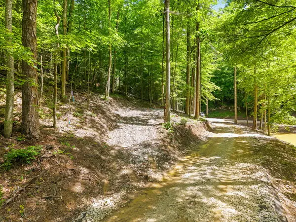55 Low Ridge Road, Campton, KY 41301