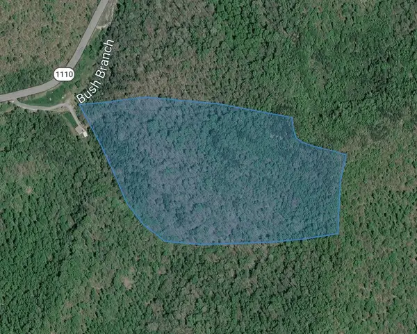 0 Bushes Branch, Jackson, KY 41339