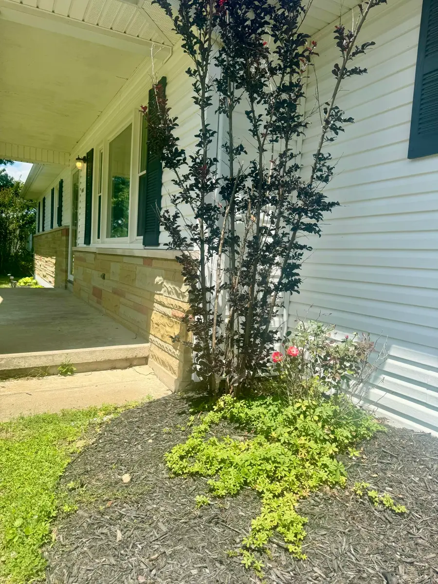 6658 Ky-10, Tollesboro, KY 41189 - #2