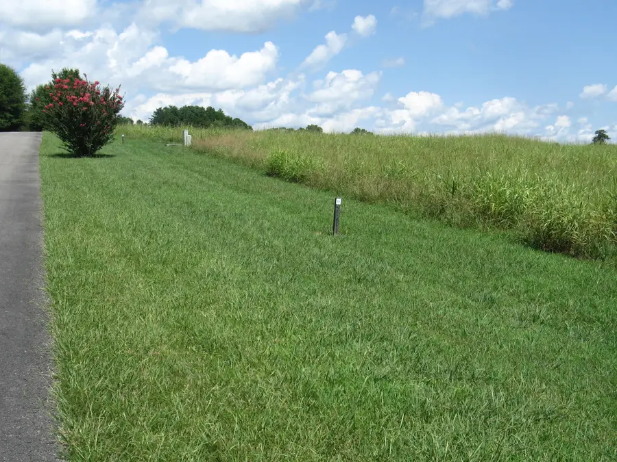 41 Beacon Street, Russell Springs, KY 42642 - #2