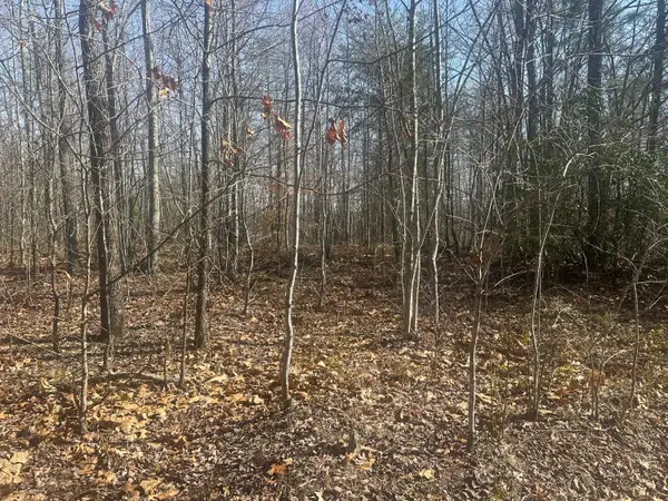 10 ac Old Beaty Pvt Road, Strunk, KY 42649