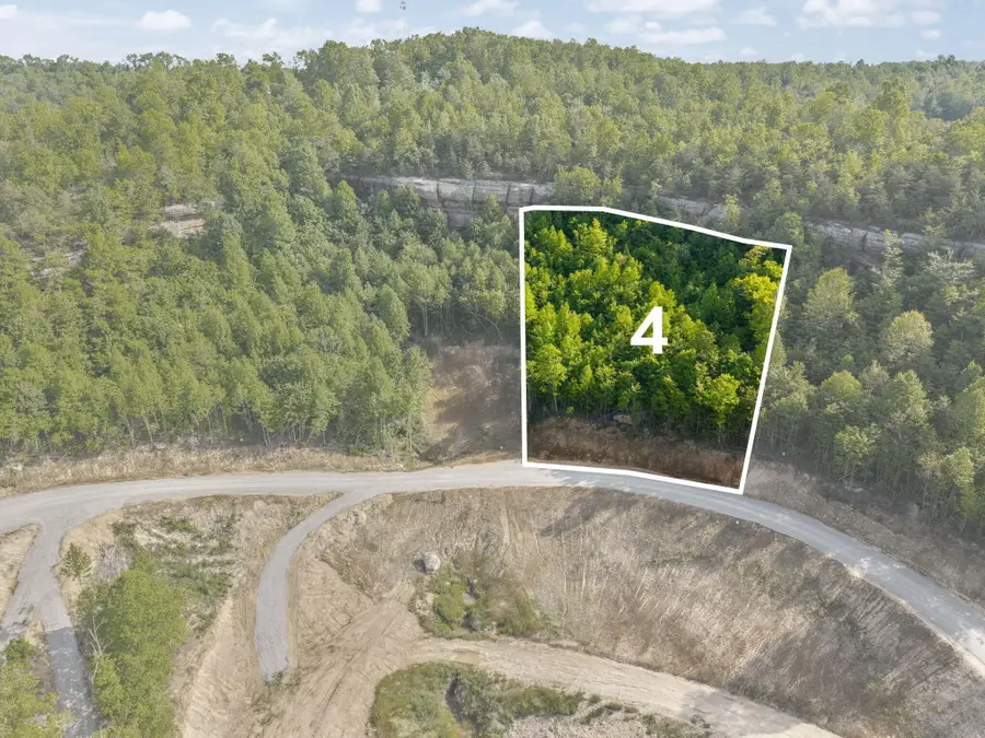 Lot 4 Sleepy Hollow Road #Lot 4, East Bernstadt, KY 40729 - #3