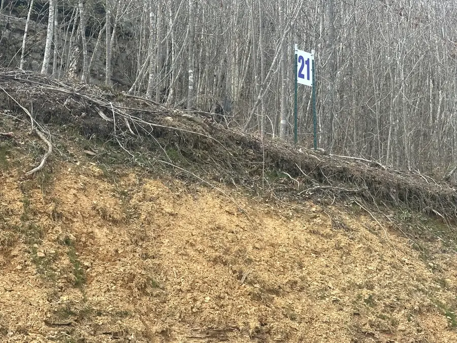 Lot 21 Sleepy Hollow Road #Lot 21, East Bernstadt, KY 40729 - #2