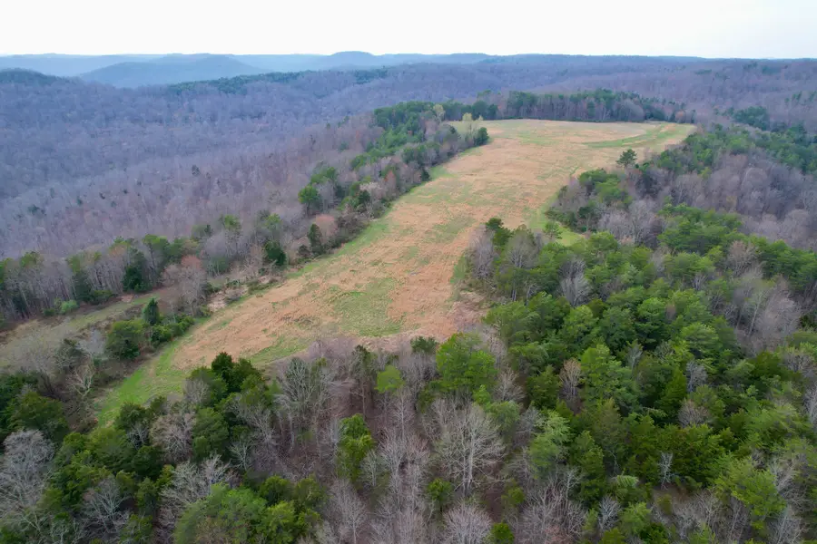 1330 Kentucky 790, Monticello, KY 42633 - #3