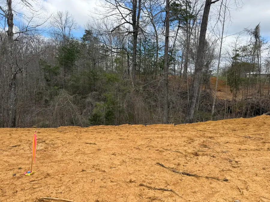 Lot 5 Phase 2 Stearns Hollow Road, Monticello, KY 42633 - #2
