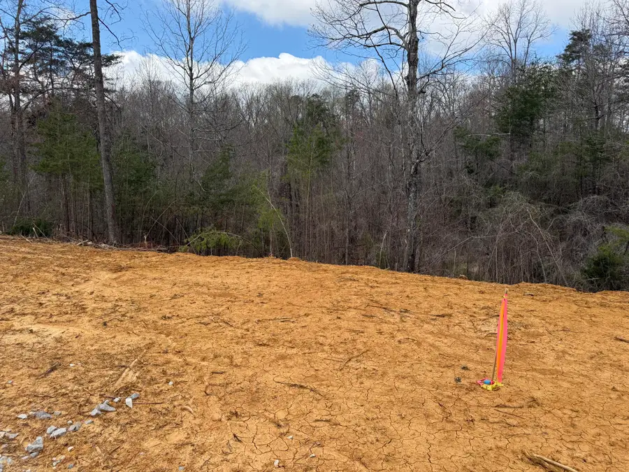 Lot 5 Phase 2 Stearns Hollow Road, Monticello, KY 42633 - #3