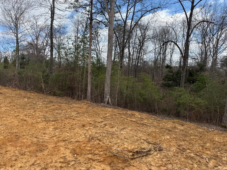 Lot 10 Phase 2 Stearns Hollow Road, Monticello, KY 42633 - #2