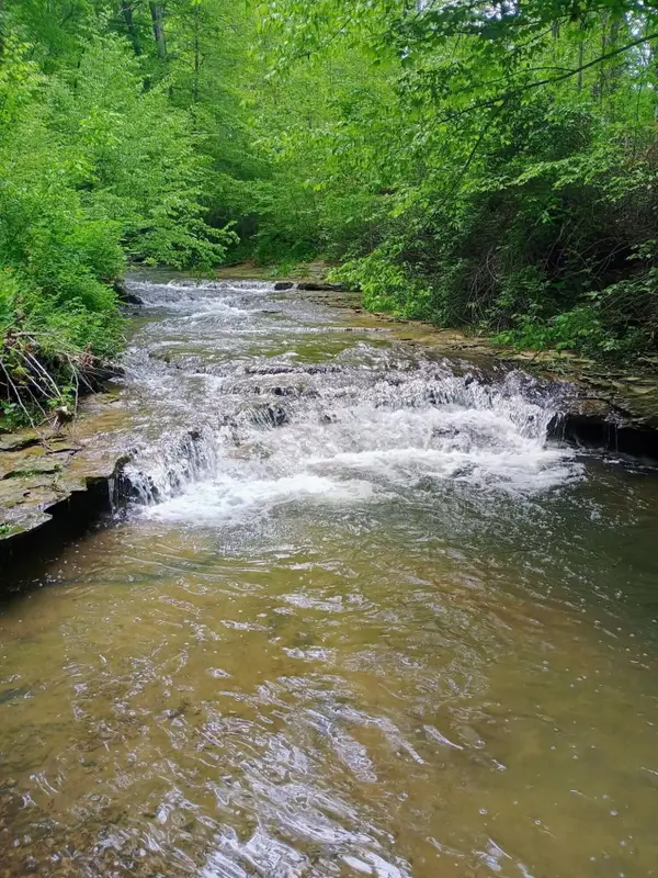 495 Clear Fork Branch Road, Eubank, KY 42567