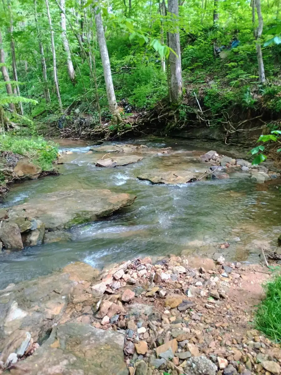 495 Clear Fork Branch Road, Eubank, KY 42567 - #2