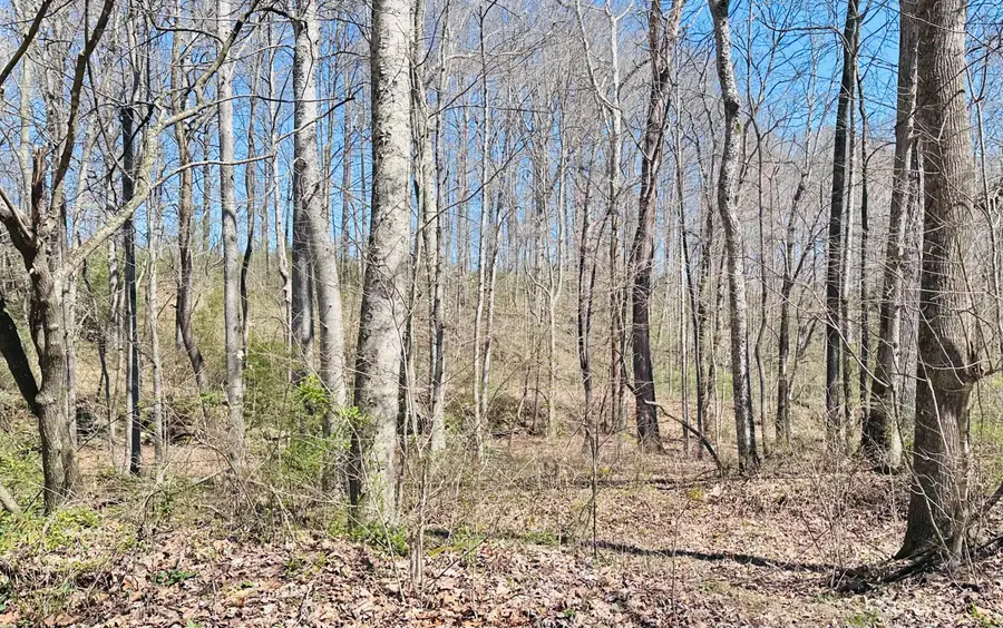 495 Clear Fork Branch Road, Eubank, KY 42567 - #3