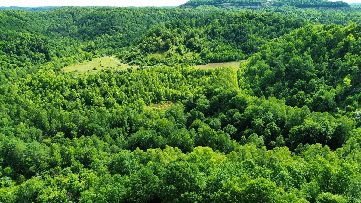 3800A Butcher Hollow Rd, Van Lear, KY 41265 - #1