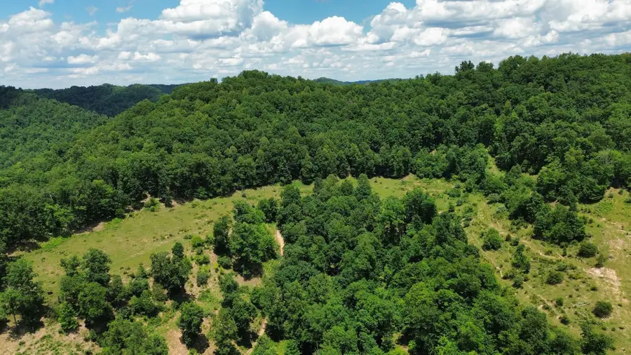 3800A Butcher Hollow Rd, Van Lear, KY 41265 - #3