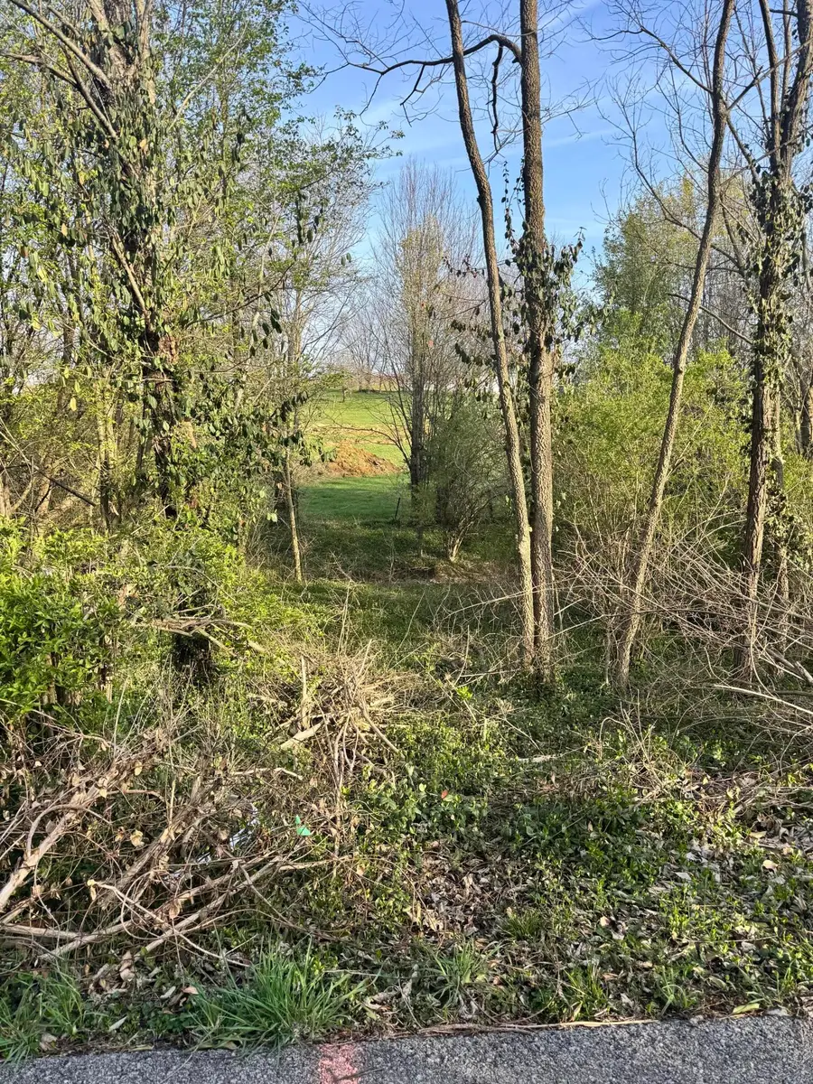 Lot #1 Freeman Lane, Salvisa, KY 40372 - #3