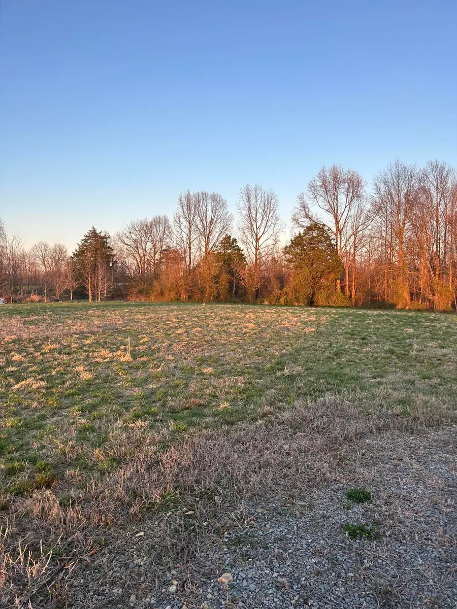 Lot 9 Jonah Kelsey Estates Road, Russell Springs, KY 42642 - #2