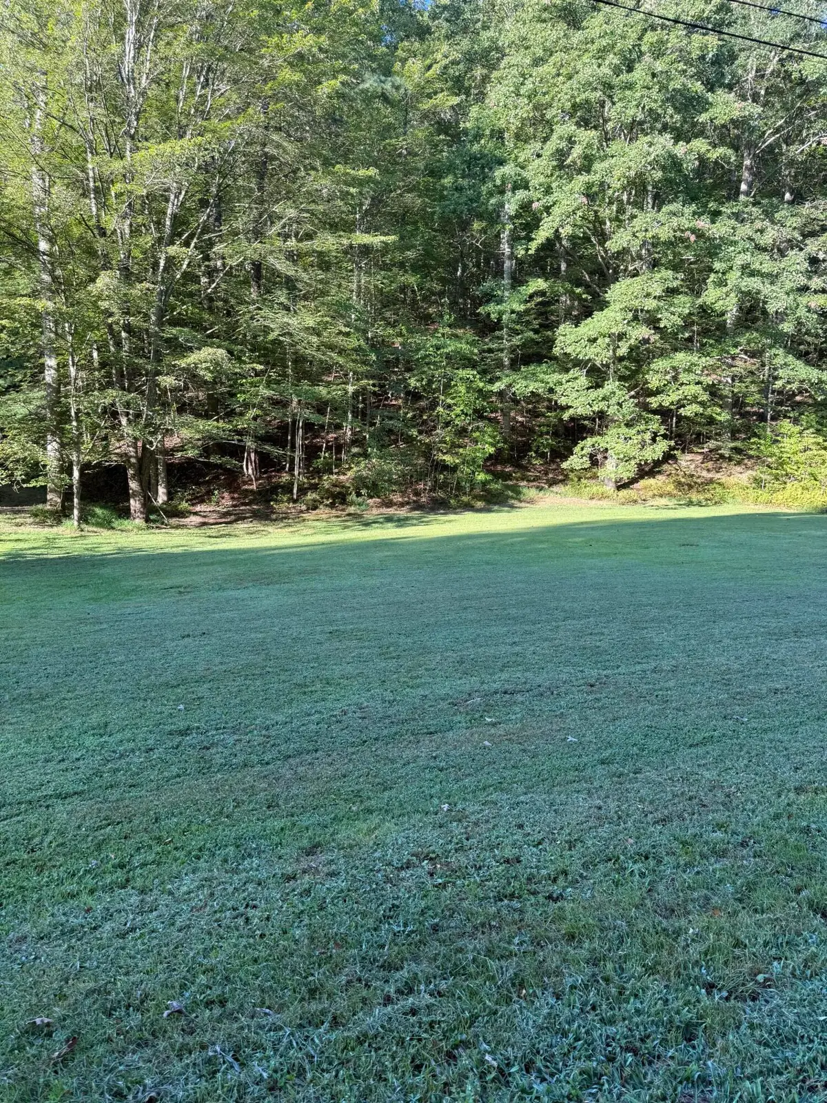 1129 N Wilson Avenue #Lot 7, Morehead, KY 40351 - #1