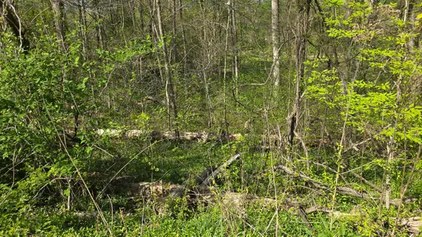 Lots 29, 30 Suncrest Drive #Lots 29 & 30, Somerset, KY 42501