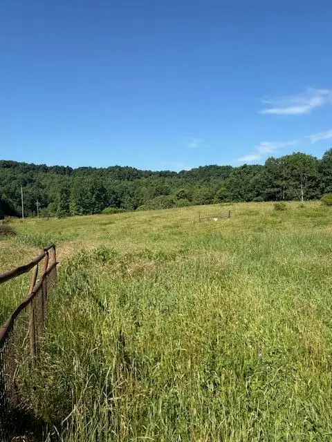 Tract 3 Deer Valley Road #Tract 3, Berea, KY 40403 - #1