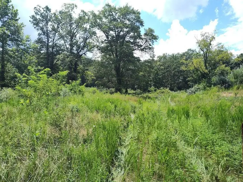 1150 Logan Hollow Road, Morehead, KY 40351 - #1