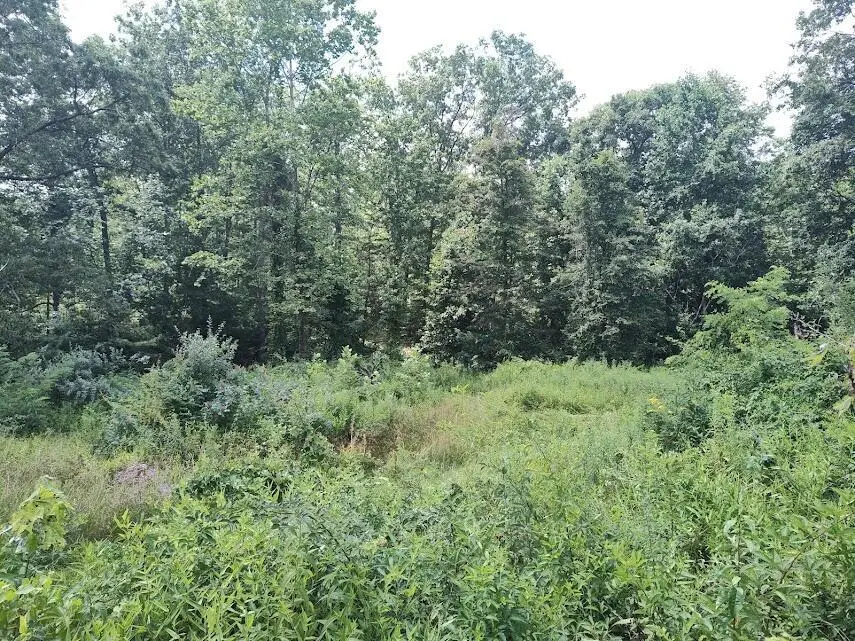 1150 Logan Hollow Road, Morehead, KY 40351 - #2