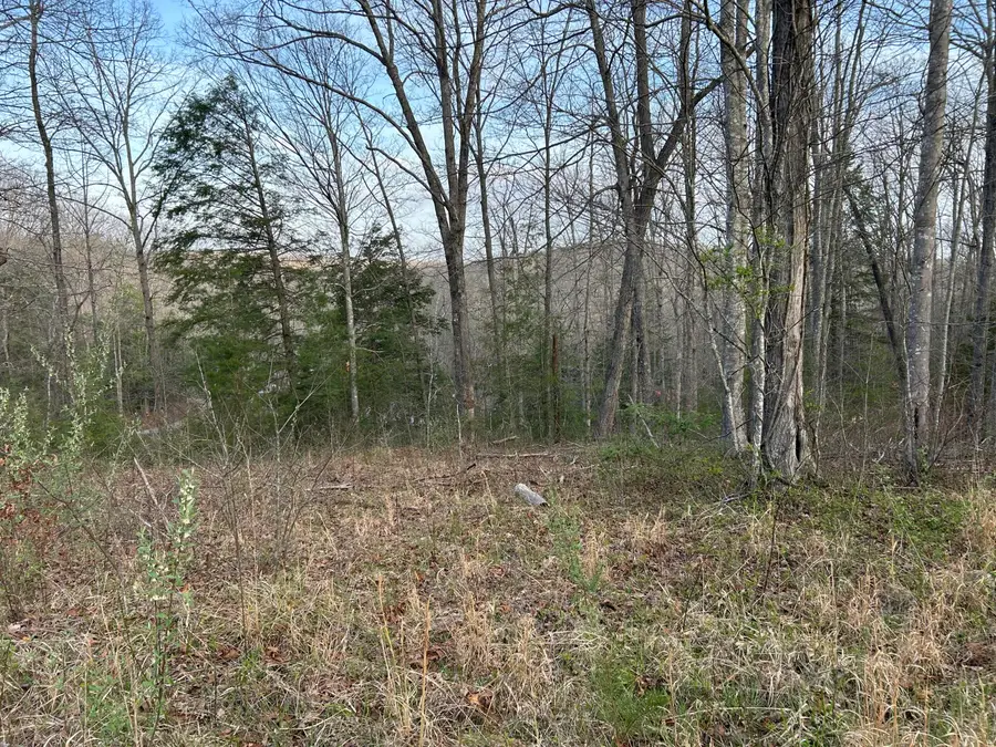 0000 State Highway 674, Monticello, KY 42633 - #3