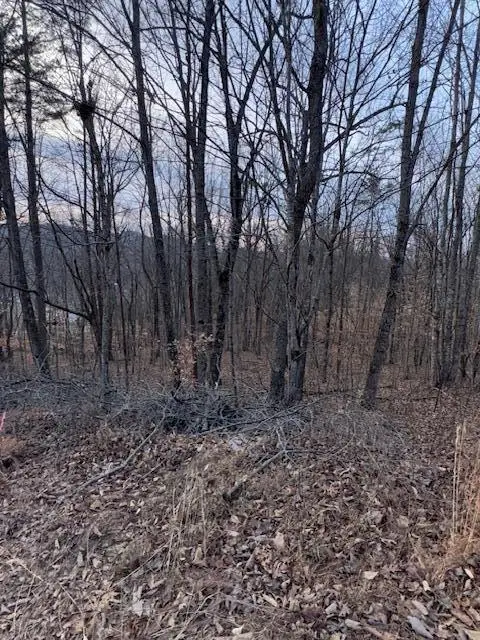 3.31 King Mountain Road #3.31, Williamsburg, KY 40769