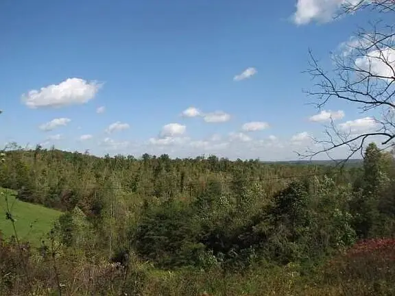 1 Rock Branch Road, Parkers Lake, KY 42634 - #3