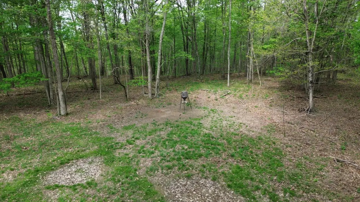1271A Tunnel Ridge Rd, Argillite, KY 41121 - #1