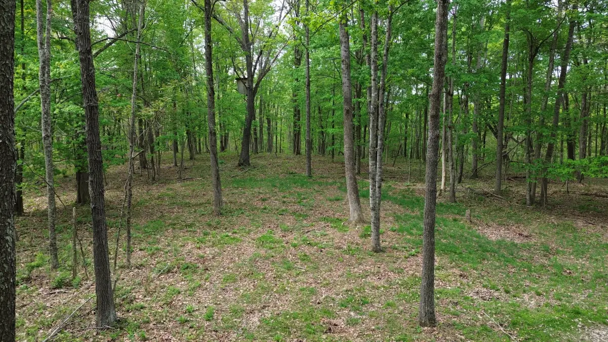694A  Tunnel Ridge Road, Argillite, KY 41121 - #1