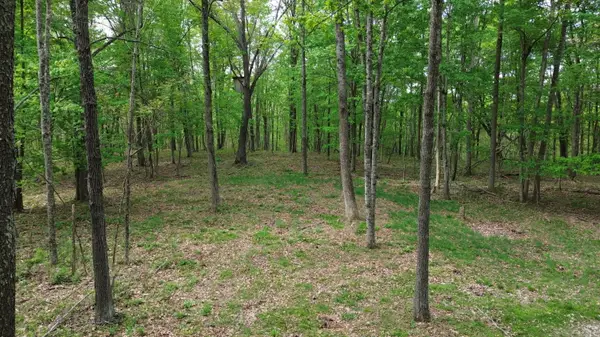 694A  Tunnel Ridge Road, Argillite, KY 41121