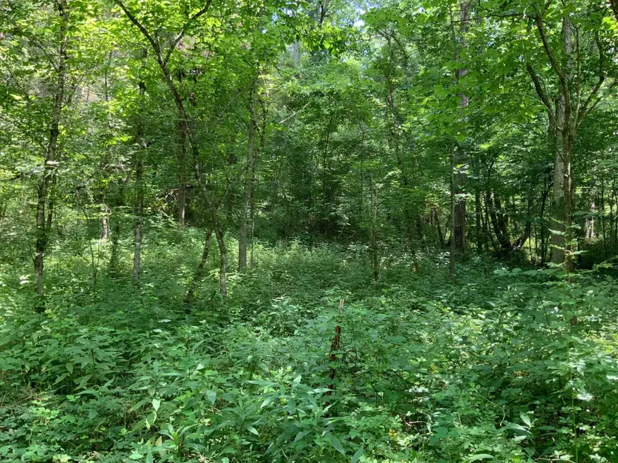 91 Flags Fork Road, Frankfort, KY 40601 - #3