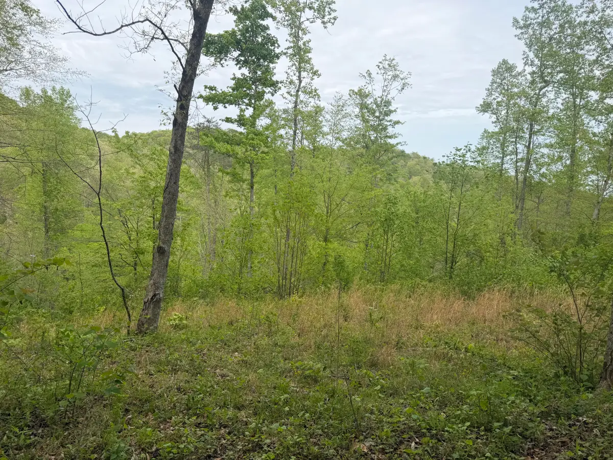 999 Big Cave Road, Orlando, KY 40460 - #1