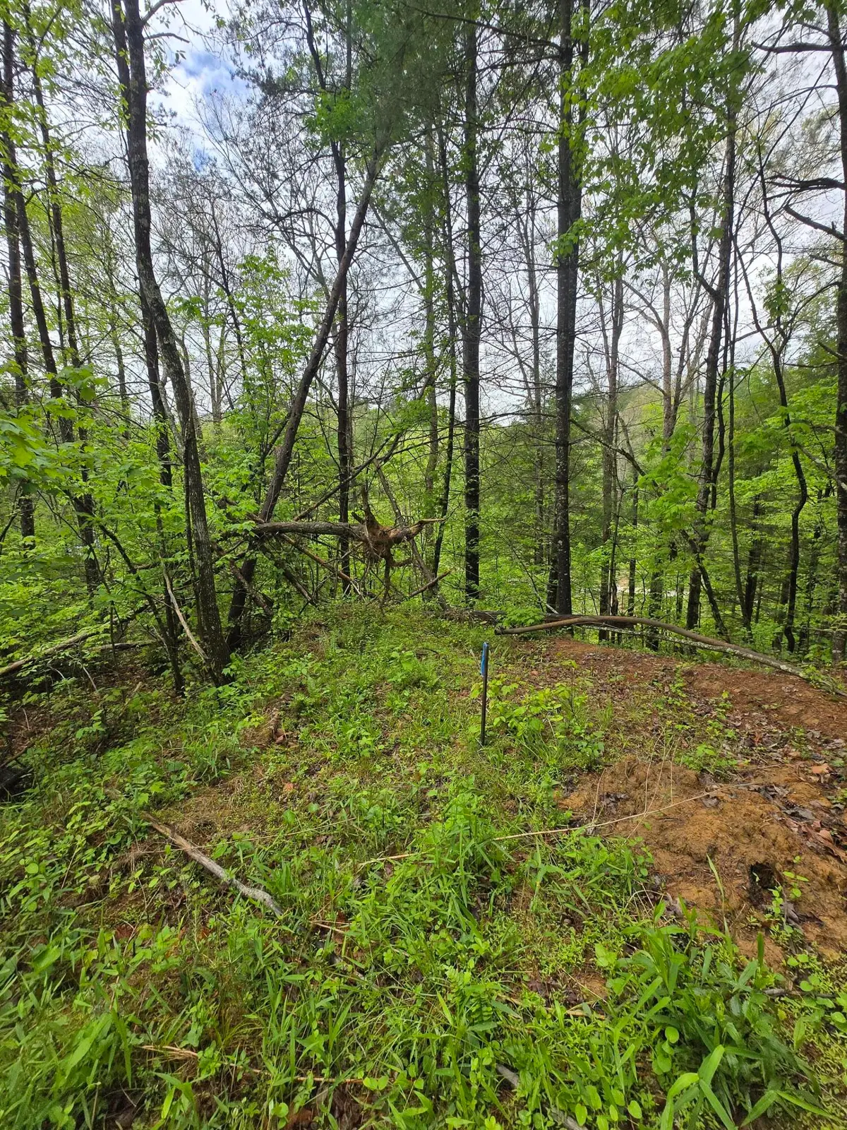 Lot 52  Soul Canyon Hideaways Development, Zoe, KY 41397 - #1