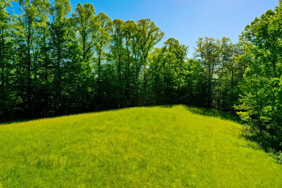 7777 State Highway 2016, Beattyville, KY 41311 - #2