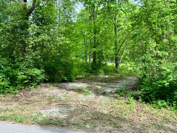 0 Echo Point Road #Tract 1, Bronston, KY 42518