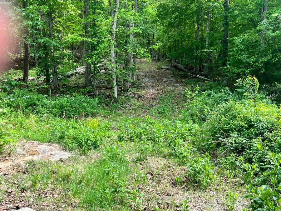 0 Echo Point Road #Tract 1, Bronston, KY 42518 - #2